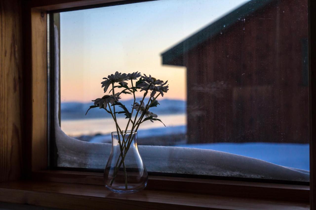 Lake Thingvellir Cottages Blaskogabyggd ภายนอก รูปภาพ