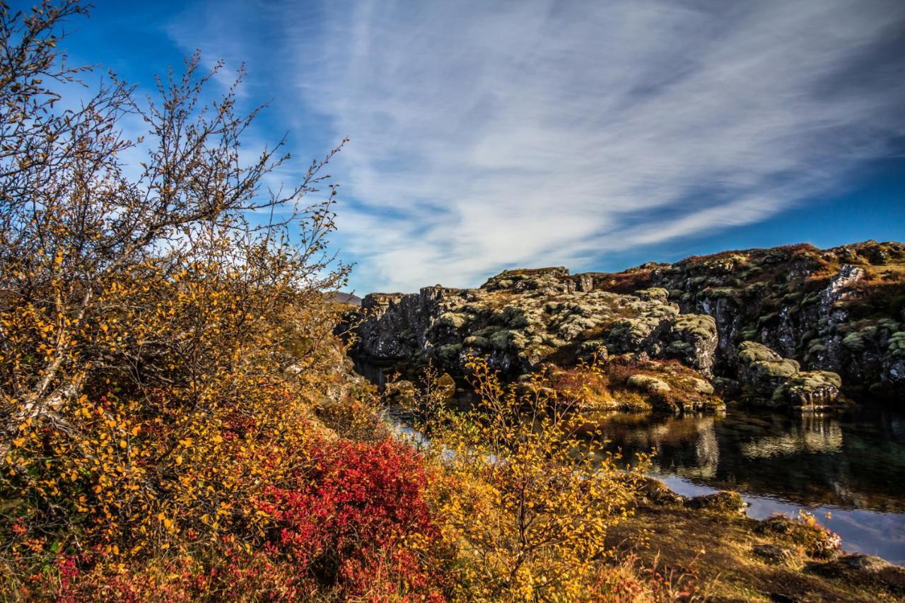 Lake Thingvellir Cottages Blaskogabyggd ภายนอก รูปภาพ